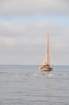 dsc_0247001_small.jpg