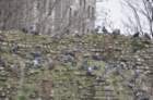 dsc_0176_small.jpg