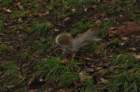 dsc_0227_small.jpg