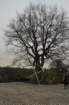 dsc_0263_small.jpg