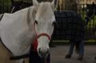 dsc_0885_small.jpg