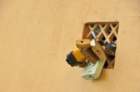 dsc_2038_small.jpg